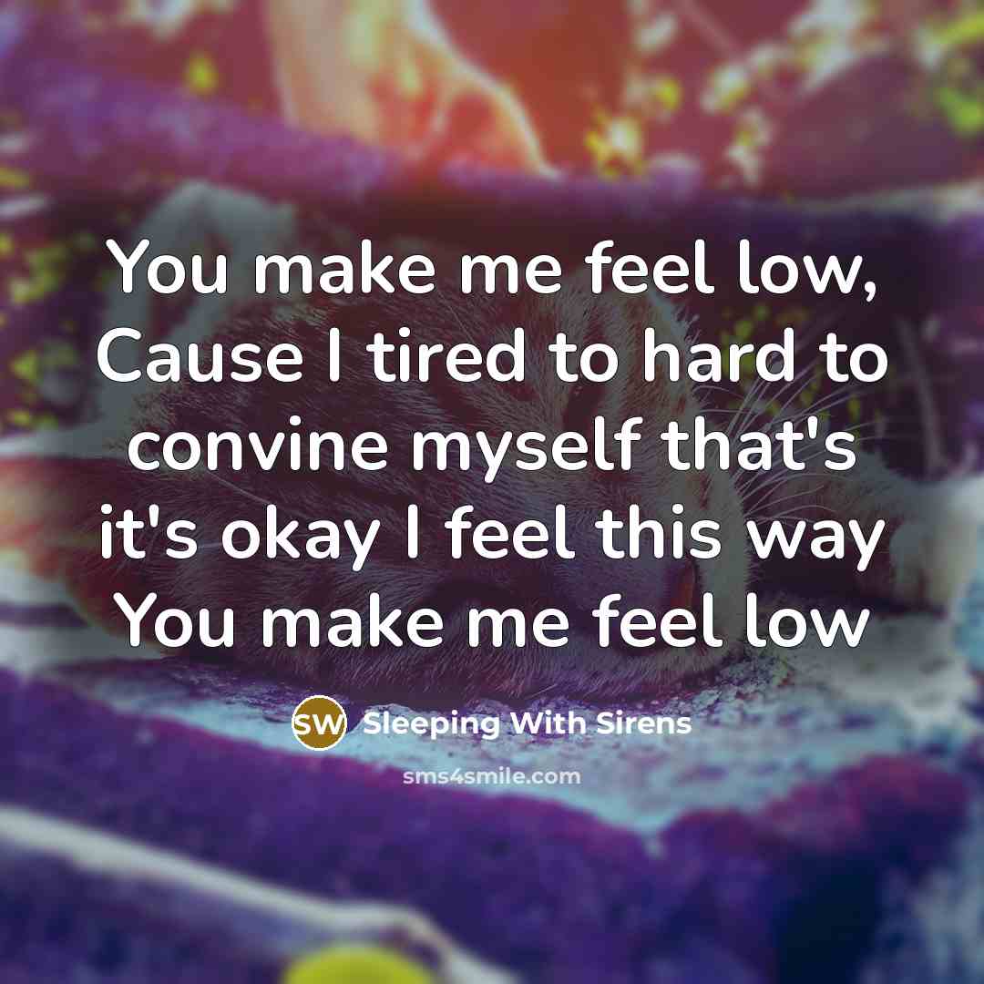 “You make me feel low, Cause I tired to hard to convine myself that's it's okay I feel this way You make me feel low” quote by Sleeping With Sirens