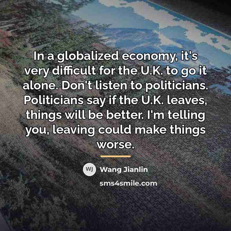 “In a globalized economy, it's very difficult for the U.K.…” quote by Wang Jianlin