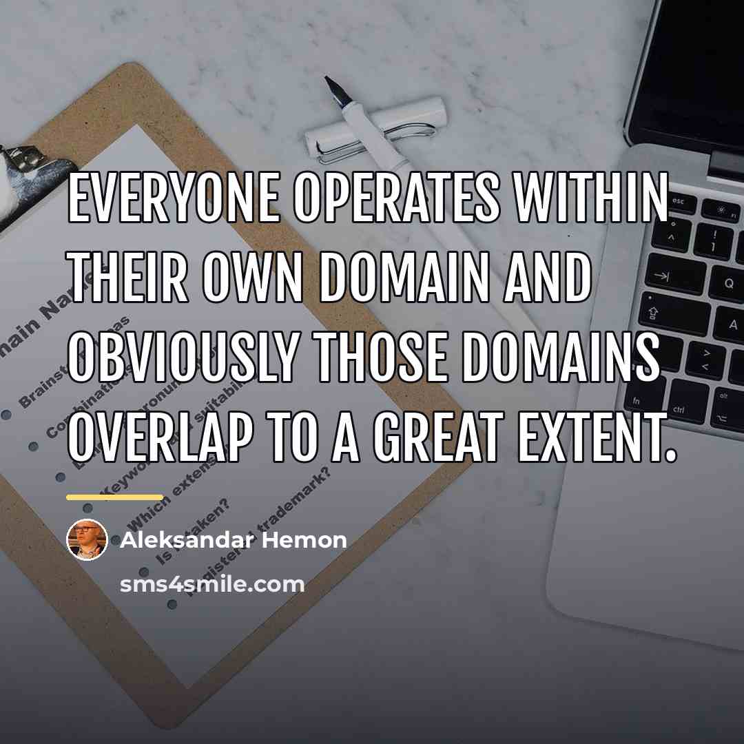 “Everyone operates within their own domain and obviously those domains…” quote by Aleksandar Hemon