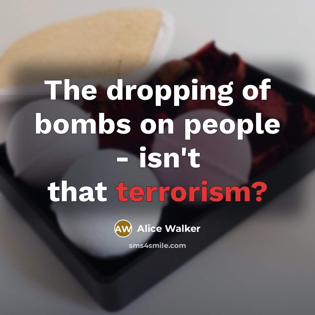 “The dropping of bombs on people - isn't that terrorism?…” quote by Alice Walker