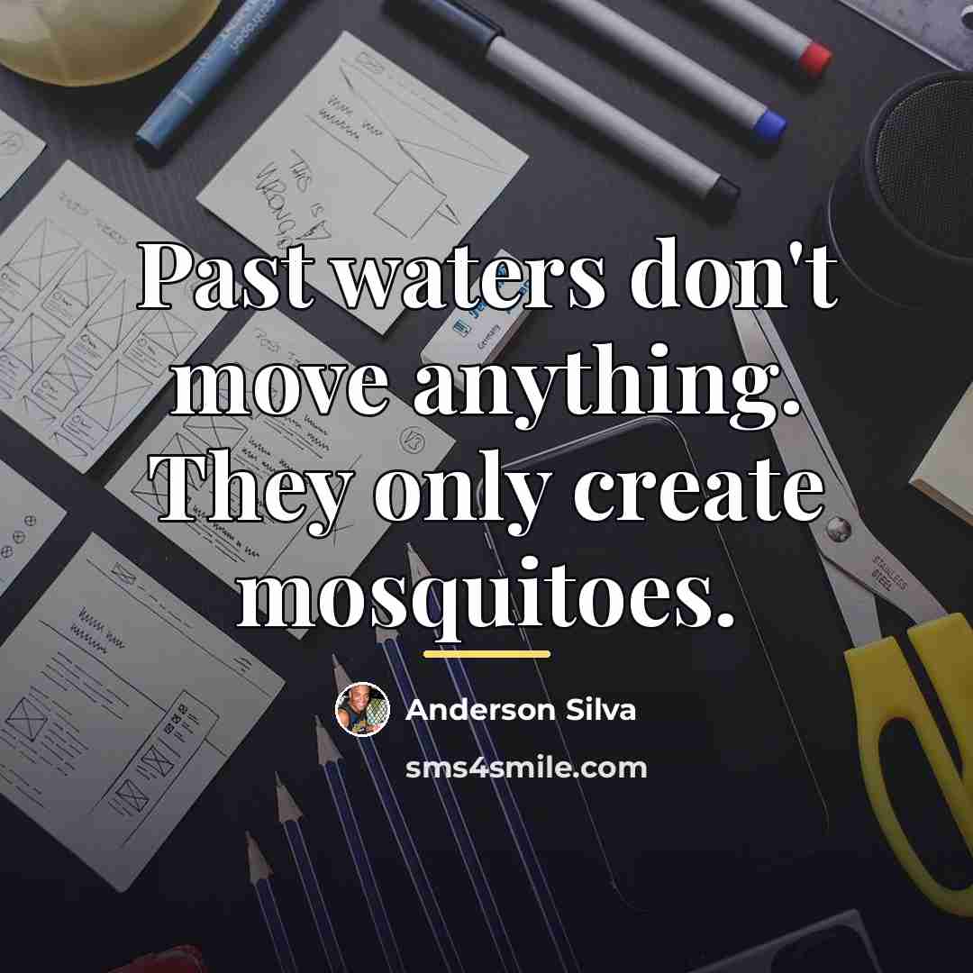 “Past waters don't move anything. They only create mosquitoes.…” quote by Anderson Silva