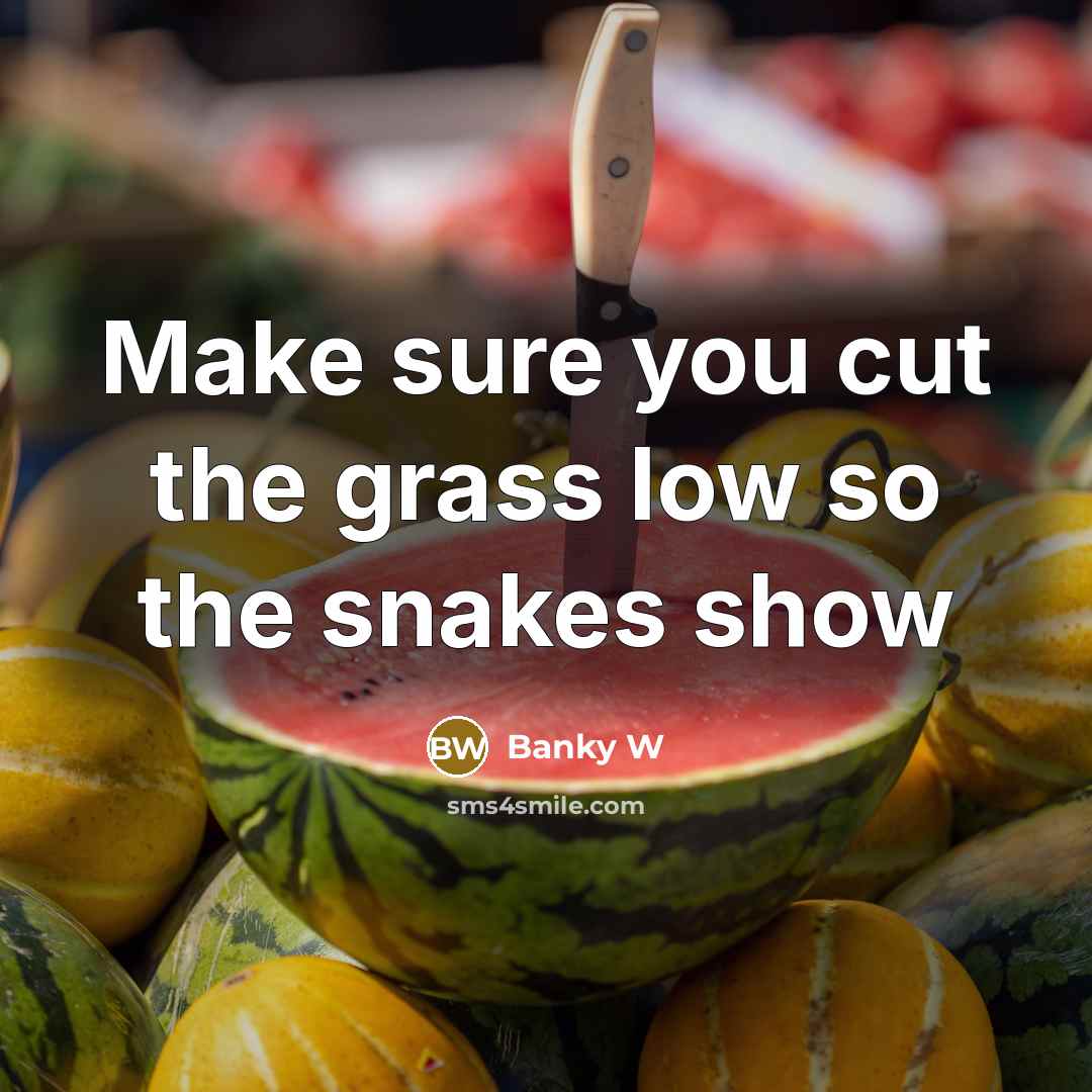 “Make sure you cut the grass low so the snakes…” quote by Banky W
