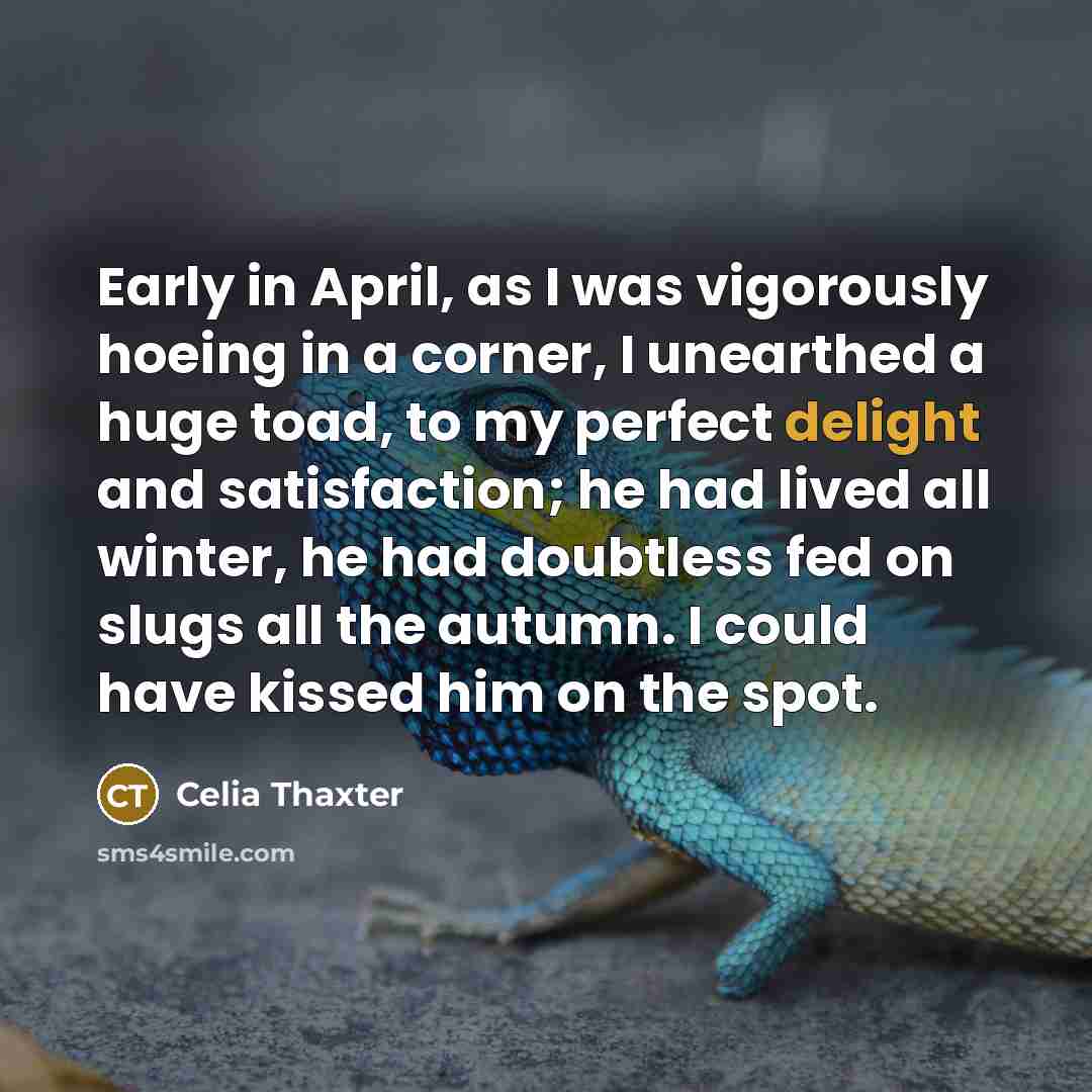 “Early in April, as I was vigorously hoeing in a…” quote by Celia Thaxter