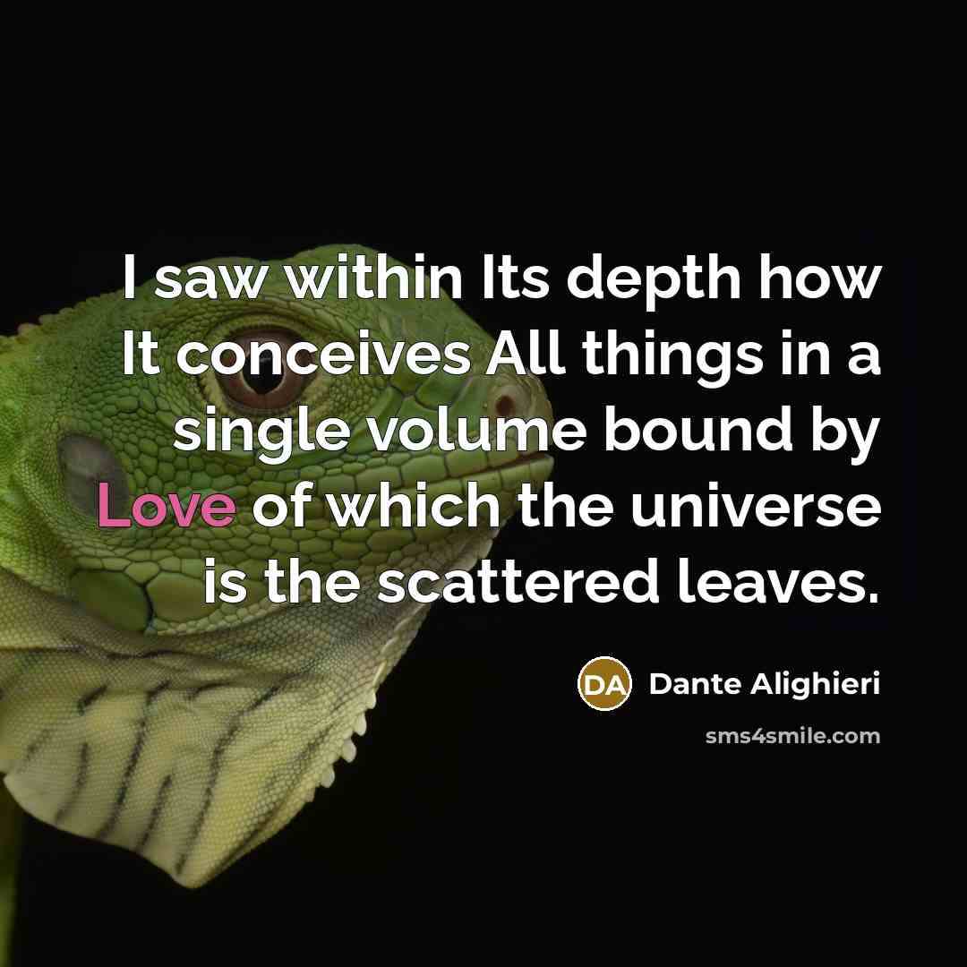 “I saw within Its depth how It conceives All things…” quote by Dante Alighieri
