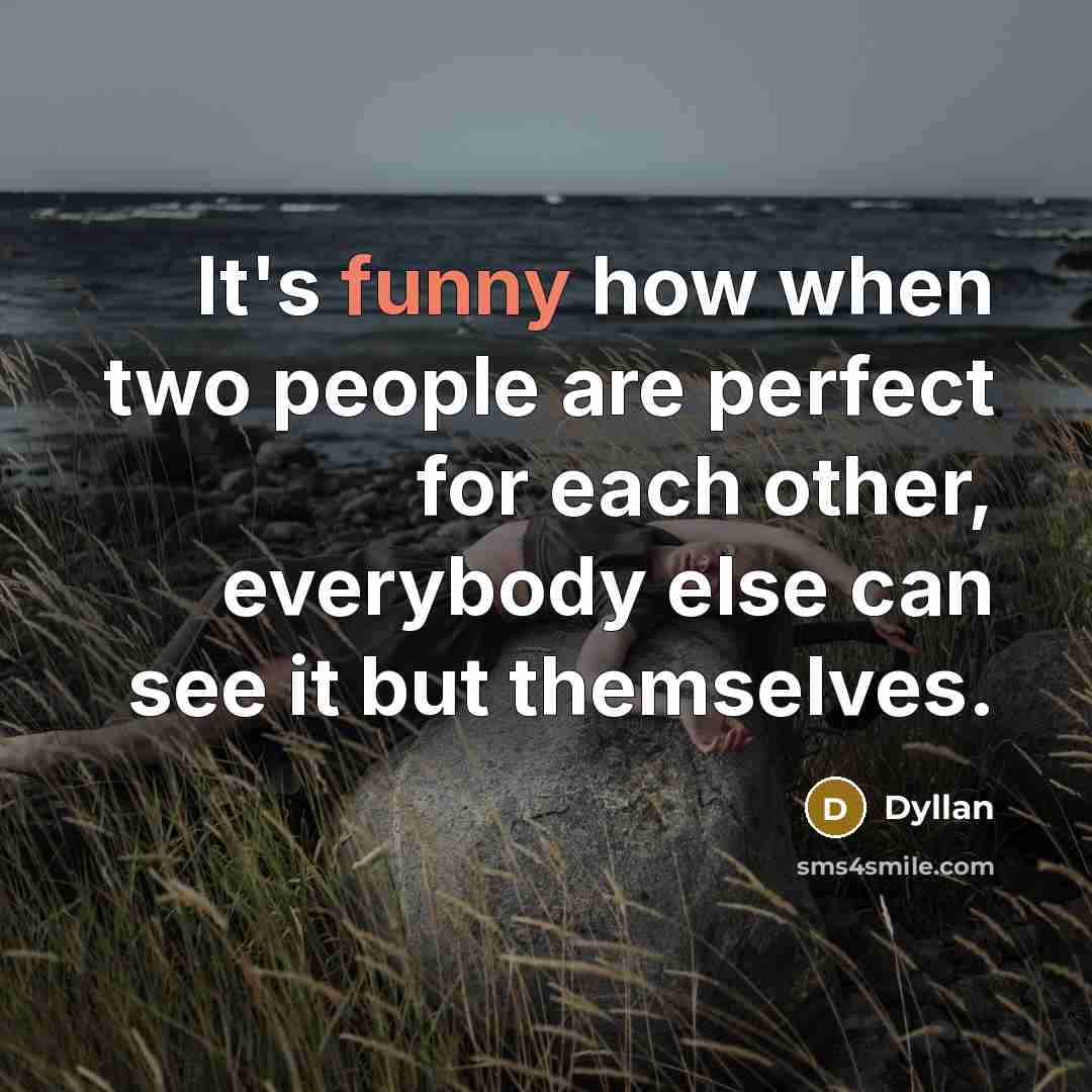 “It's funny how when two people are perfect for each other, everybody else can see it but themselves.” quote by Dyllan
