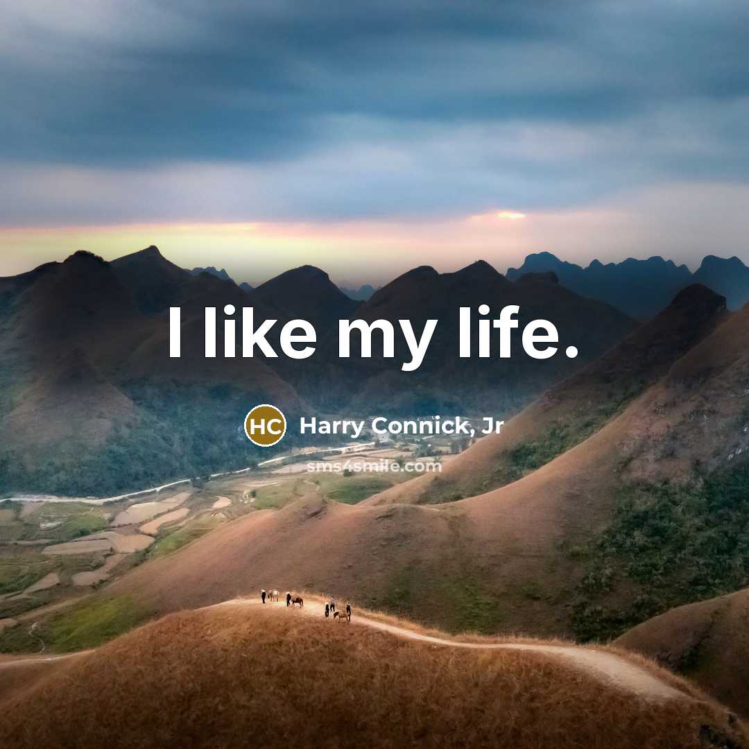“I like my life.…” quote by Harry Connick, Jr