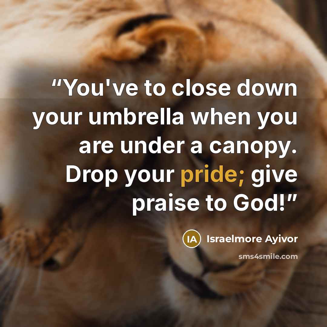 “You've to close down your umbrella when you are under a canopy. Drop your pride; give praise to God!” quote by Israelmore Ayivor