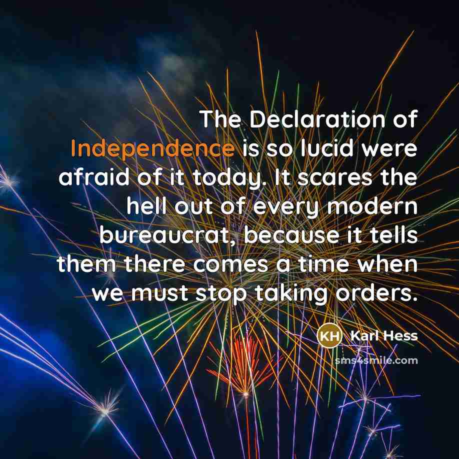 “The Declaration of Independence is so lucid were afraid of…” quote by Karl Hess