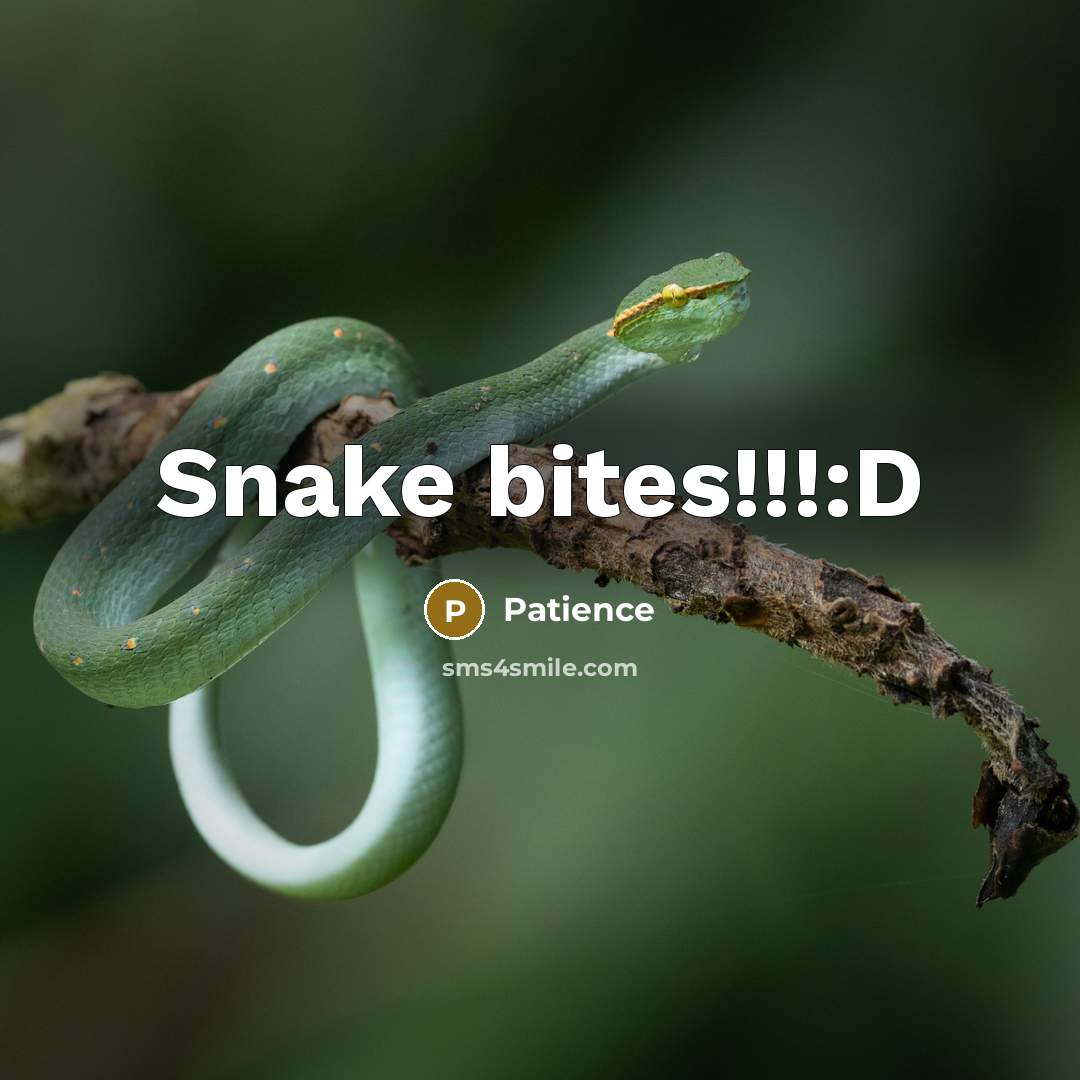 “Snake bites!!!:D” quote by Patience