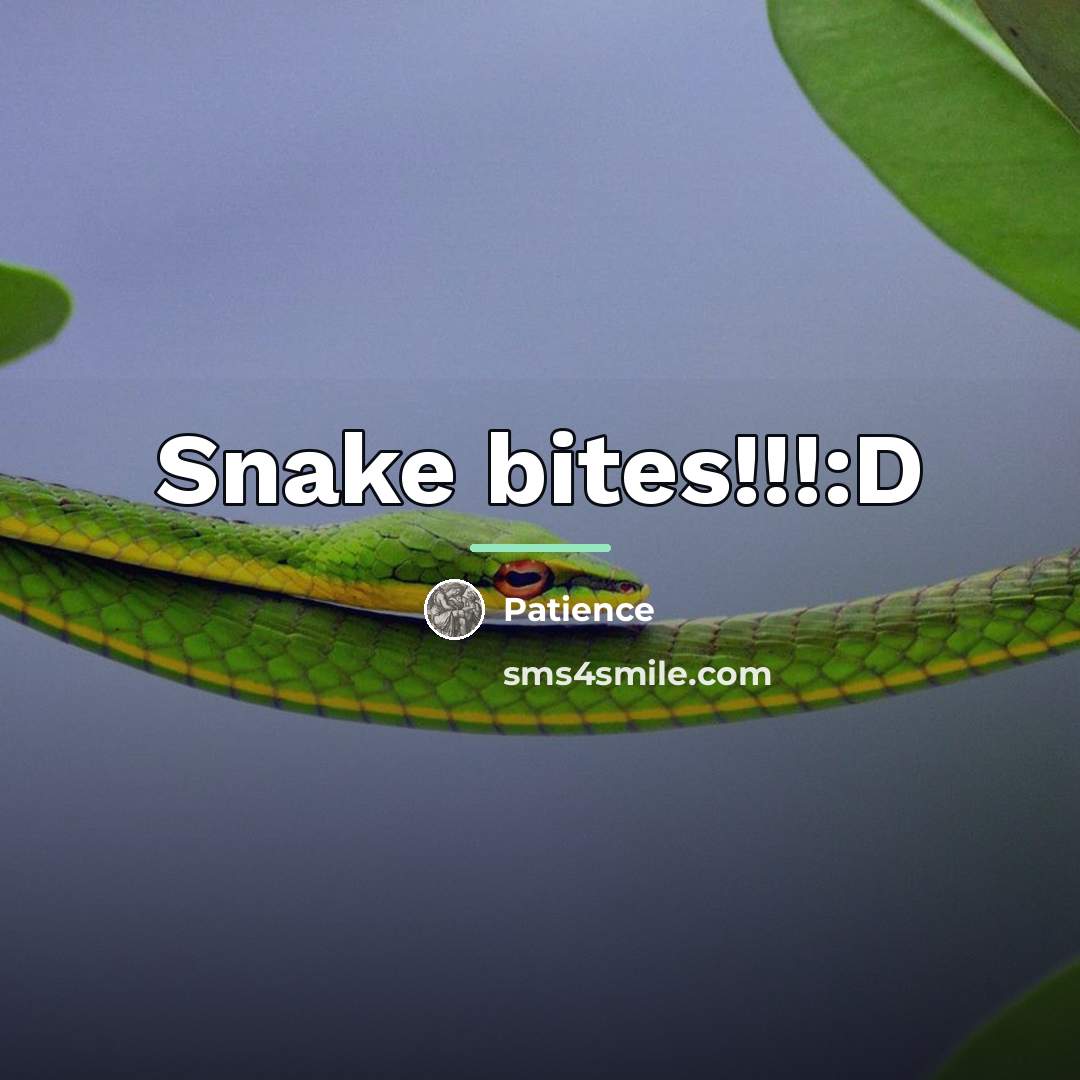 “Snake bites!!!:D…” quote by Patience
