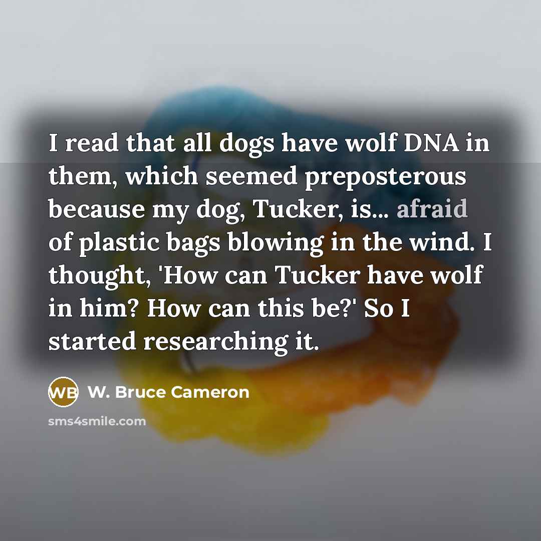 “I read that all dogs have wolf DNA in them,…” quote by W. Bruce Cameron