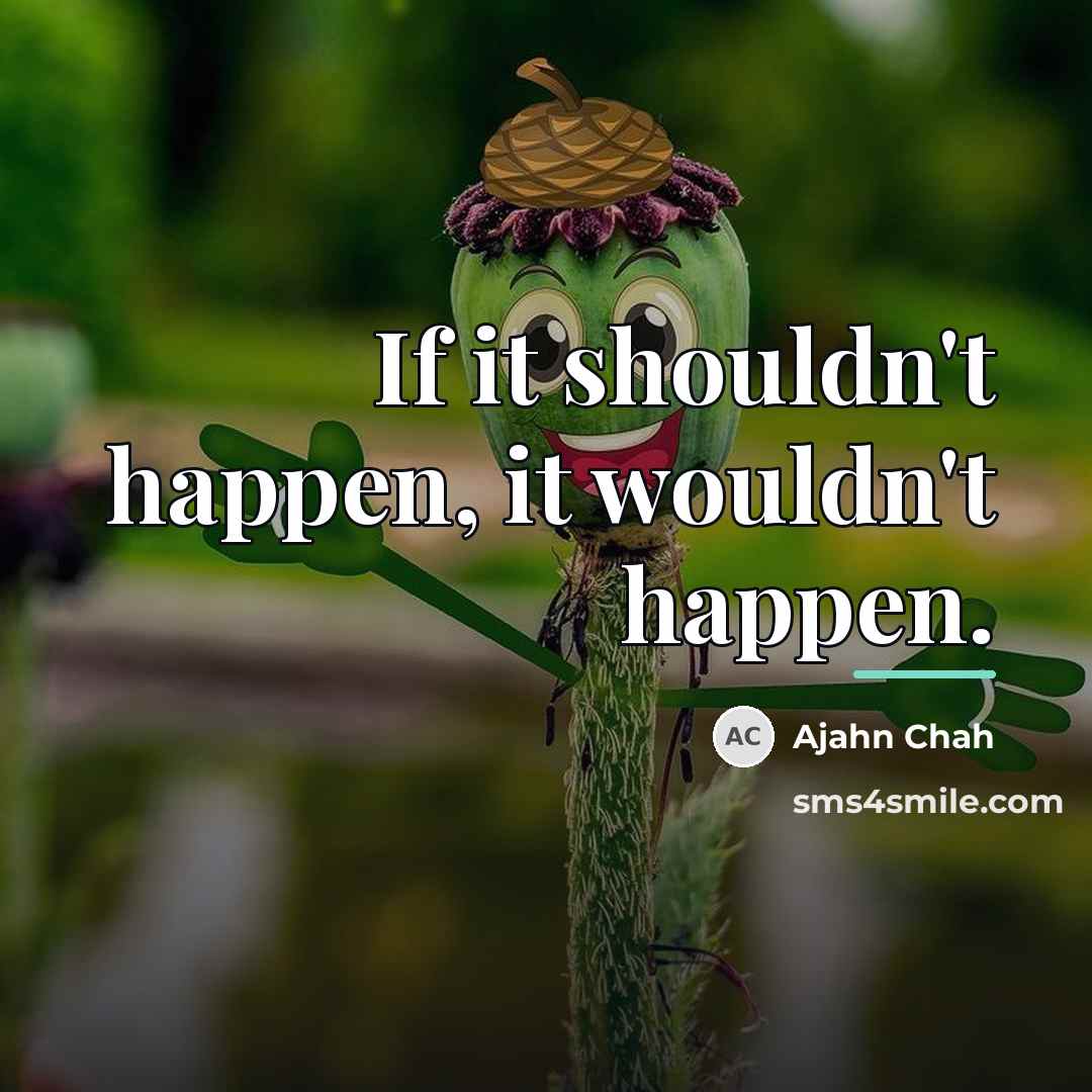 “If it shouldn't happen, it wouldn't happen.…” quote by Ajahn Chah
