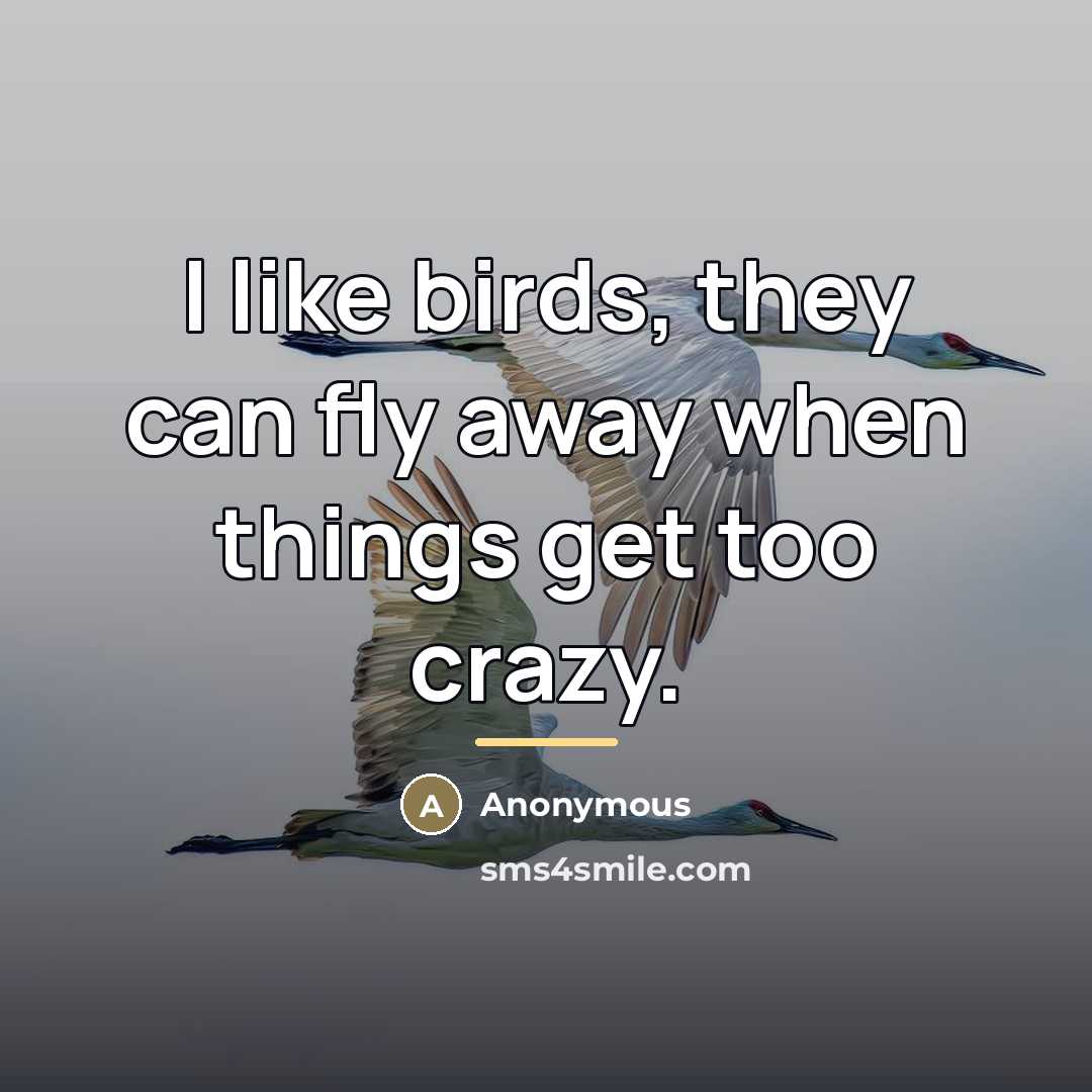 “I like birds, they can fly away when things get…” quote by Anonymous