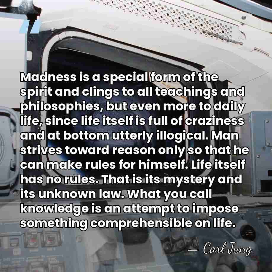 Madness is a special form of the spirit and clings to all&hellip; - Carl Jung