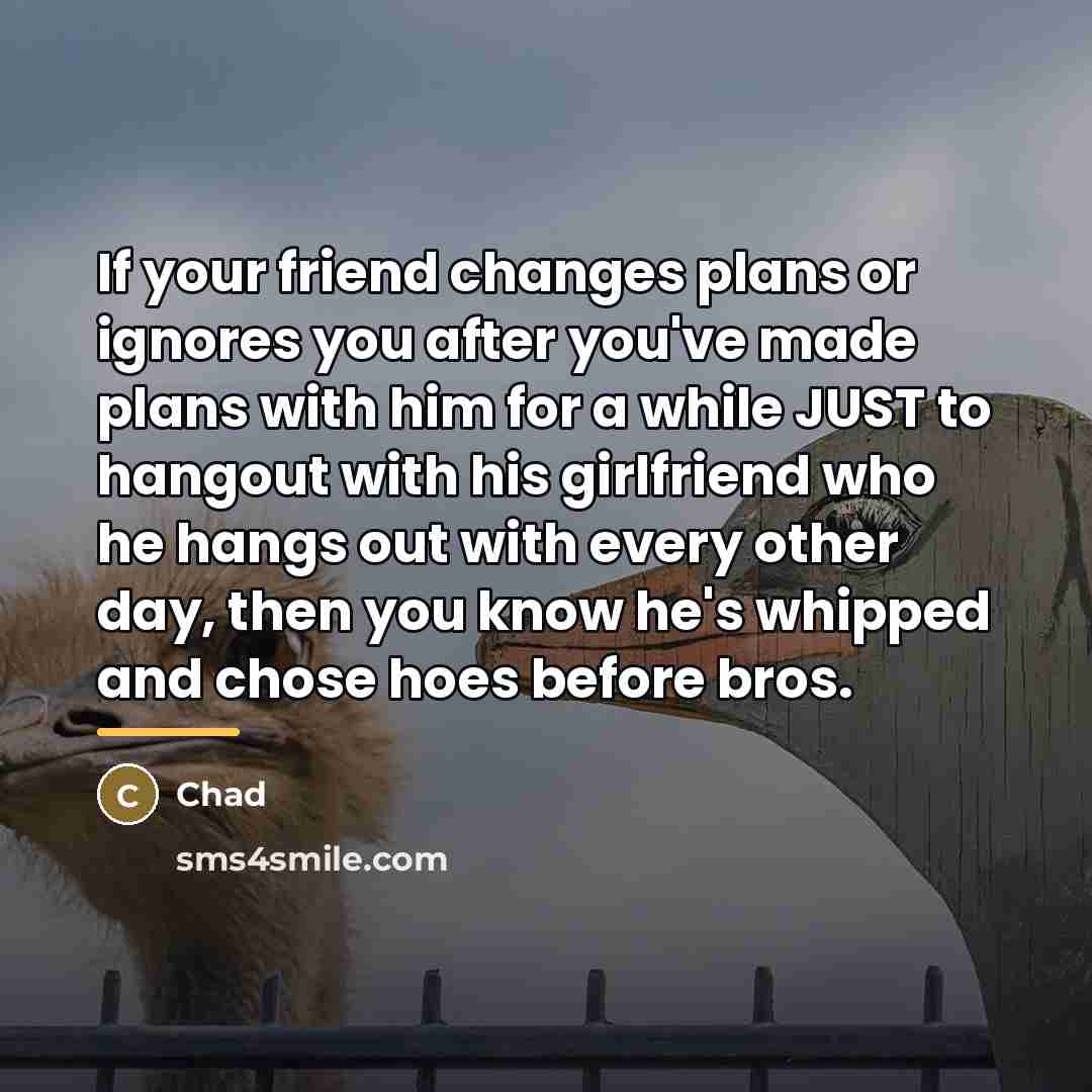 “If your friend changes plans or ignores you after you've…” quote by Chad