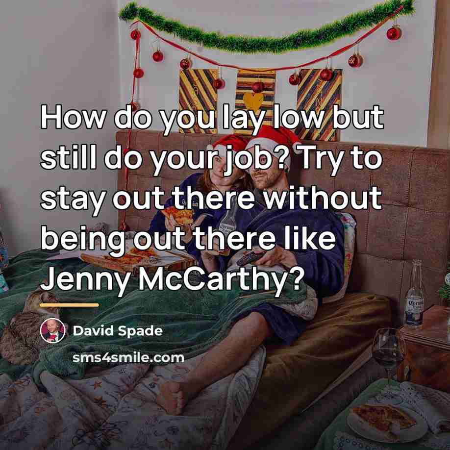 “How do you lay low but still do your job?…” quote by David Spade