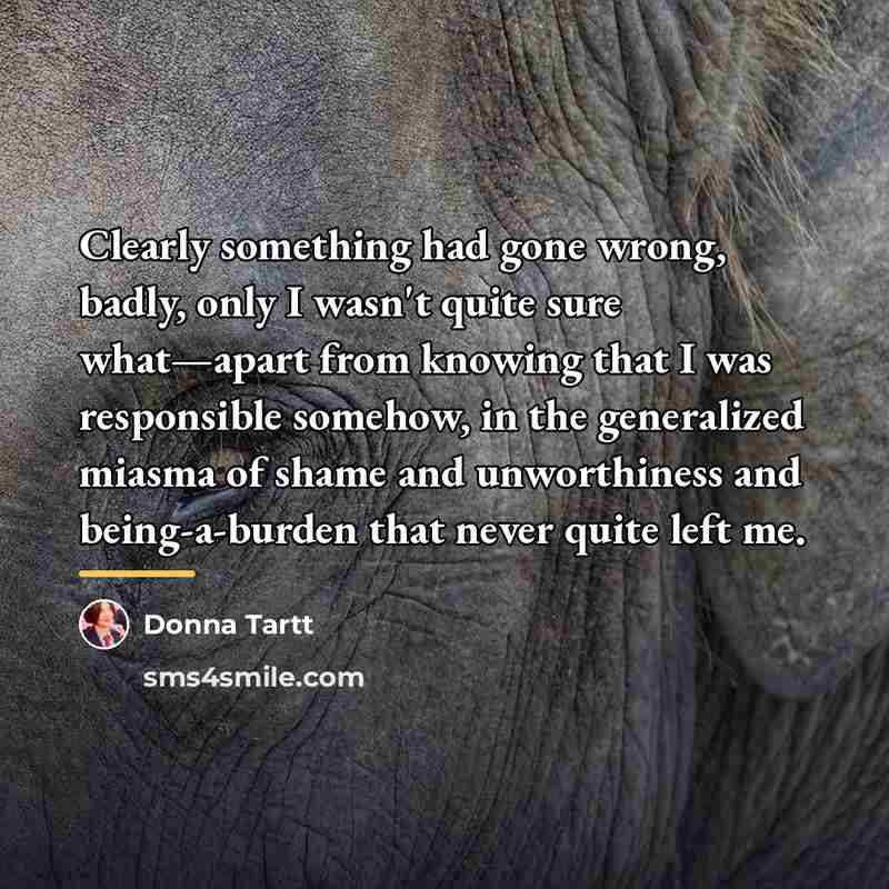 “Clearly something had gone wrong, badly, only I wasn't quite…” quote by Donna Tartt