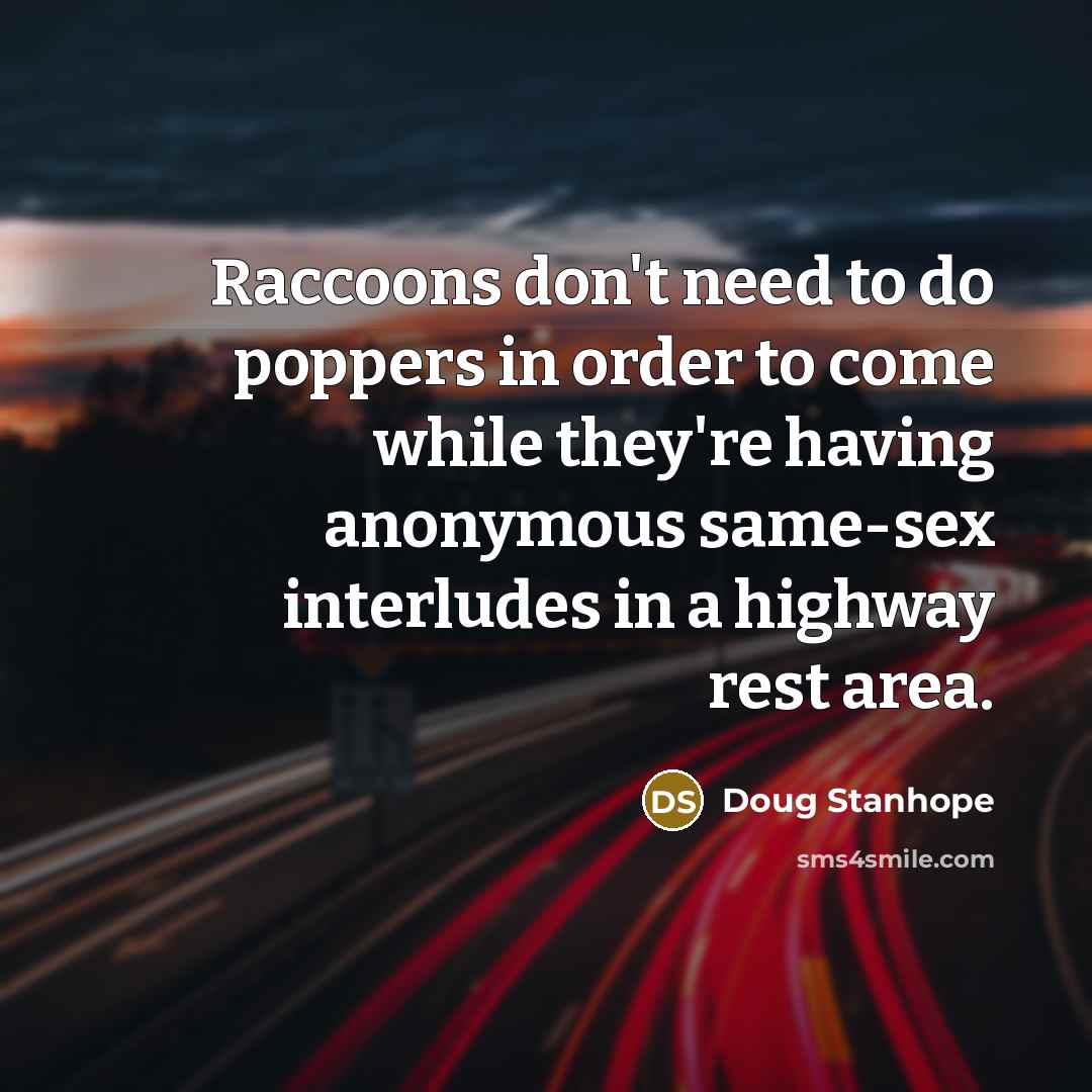 “Raccoons don't need to do poppers in order to come…” quote by Doug Stanhope