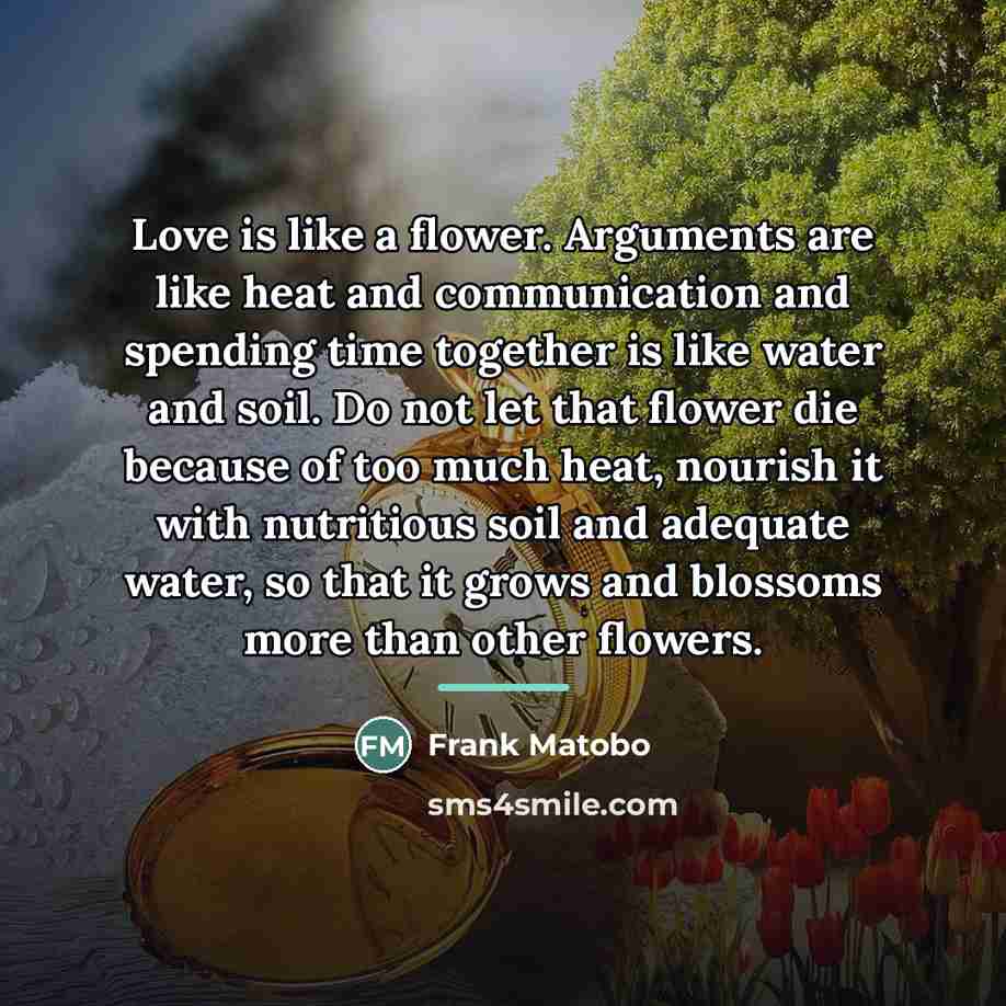 “Love is like a flower. Arguments are like heat and…” quote by Frank Matobo