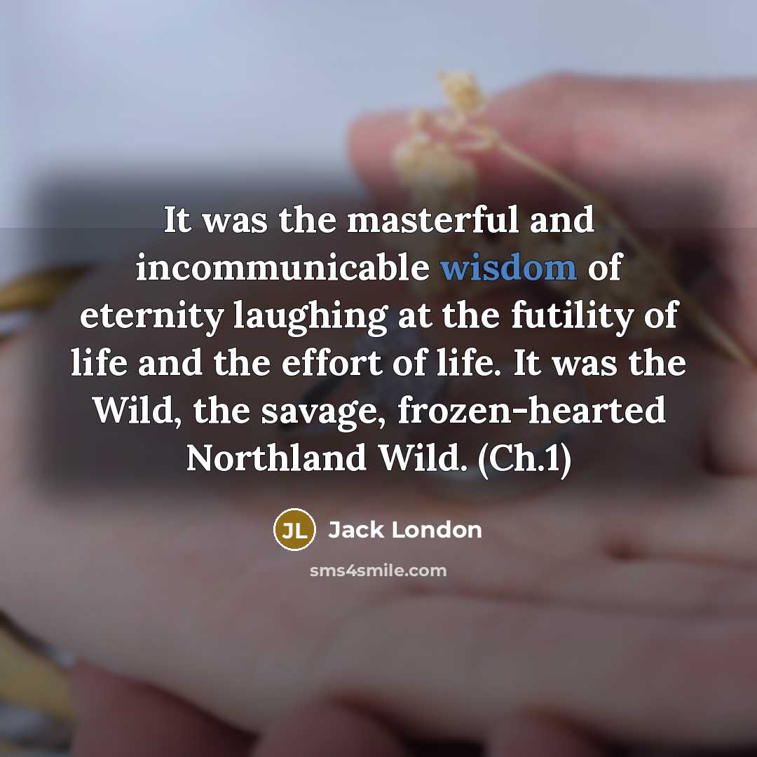 “It was the masterful and incommunicable wisdom of eternity laughing…” quote by Jack London