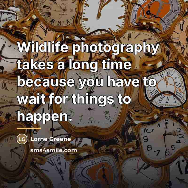 “Wildlife photography takes a long time because you have to…” quote by Lorne Greene