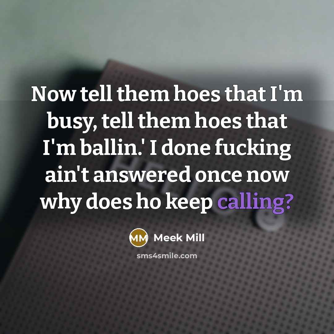 “Now tell them hoes that I'm busy, tell them hoes…” quote by Meek Mill