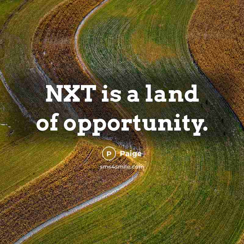 “NXT is a land of opportunity.…” quote by Paige