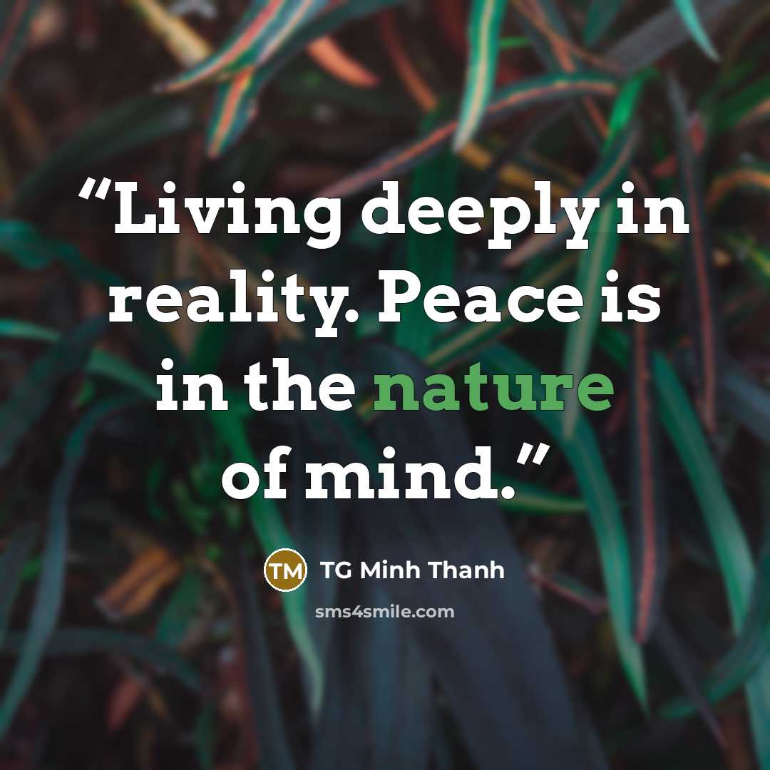 “Living deeply in reality. Peace is in the nature of mind.” quote by TG Minh Thanh