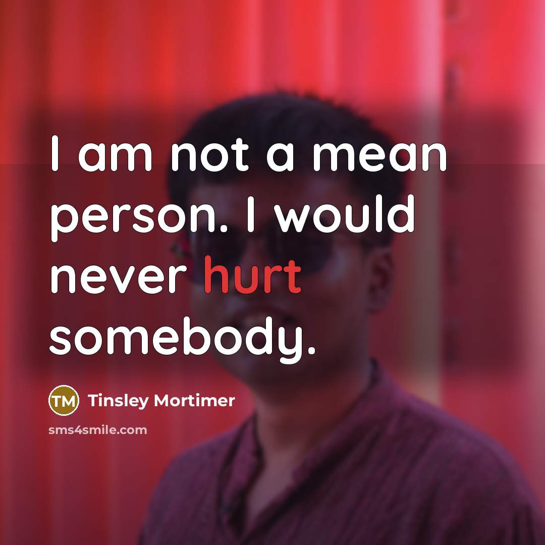 “I am not a mean person. I would never hurt…” quote by Tinsley Mortimer