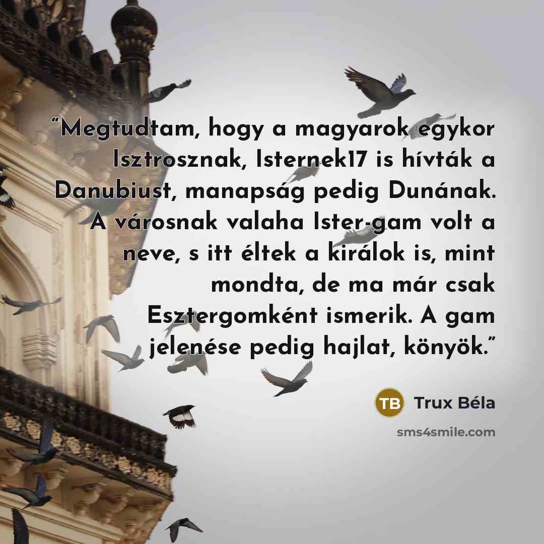 “Megtudtam, hogy a magyarok egykor Isztrosznak, Isternek17 is hívták a Danubiust, manapság pedig Dunának. A városnak valaha Ister-gam volt a neve, s itt éltek a királok is, mint mondta, de ma már csak Esztergomként ismerik. A gam jelenése pedig hajlat, könyök.” quote by Trux Béla