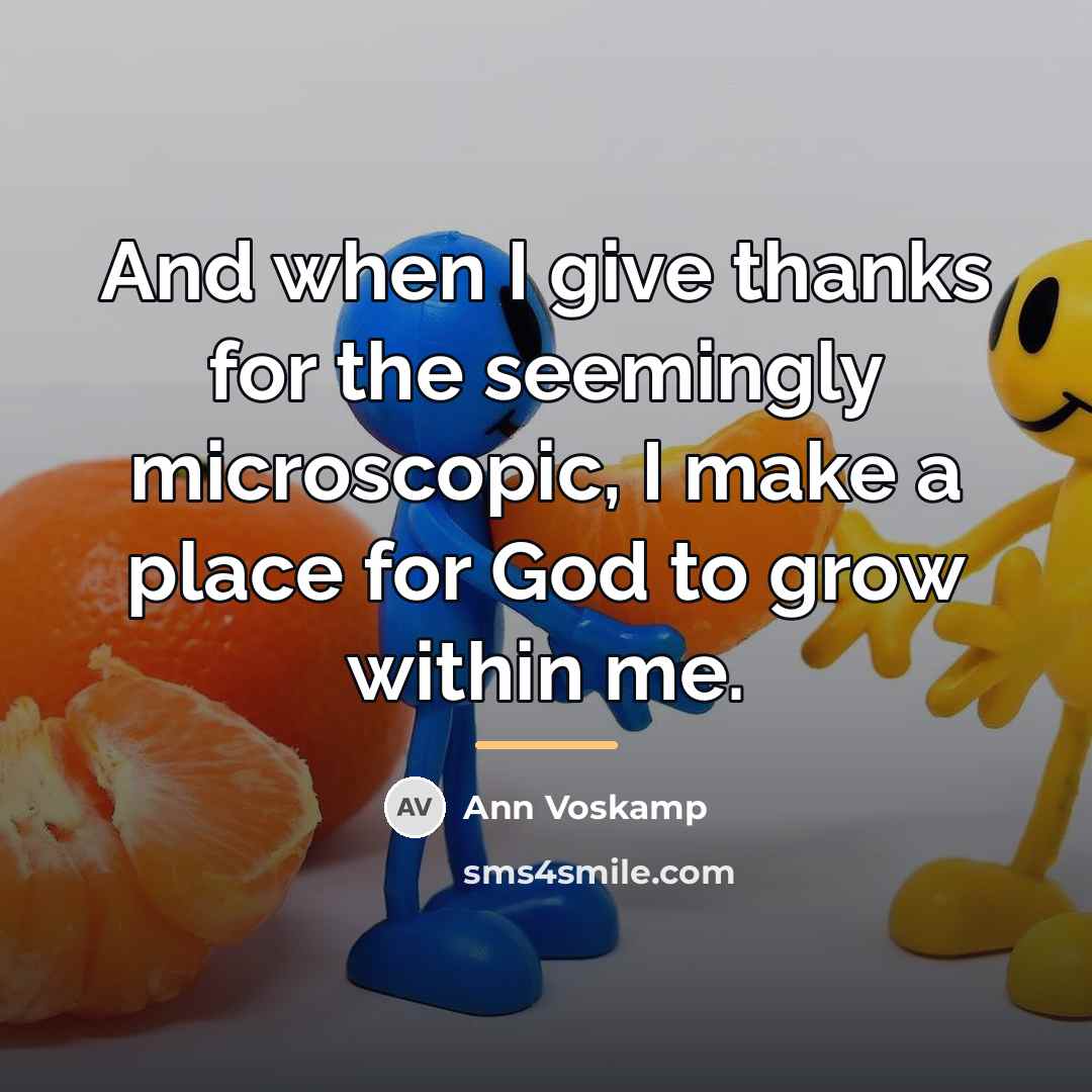 “And when I give thanks for the seemingly microscopic, I…” quote by Ann Voskamp