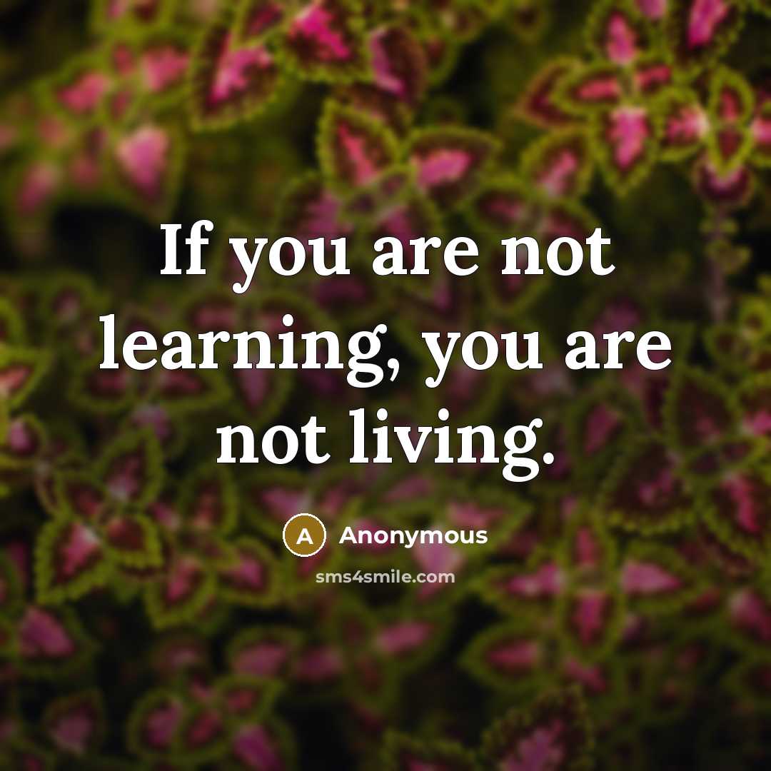 “If you are not learning, you are not living.…” quote by Anonymous