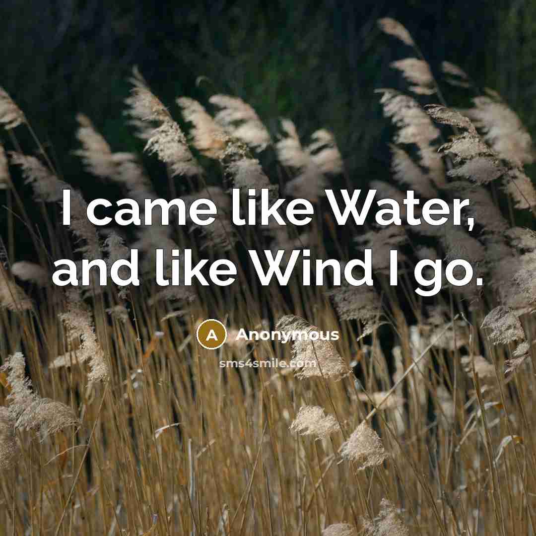 “I came like Water, and like Wind I go.…” quote by Anonymous