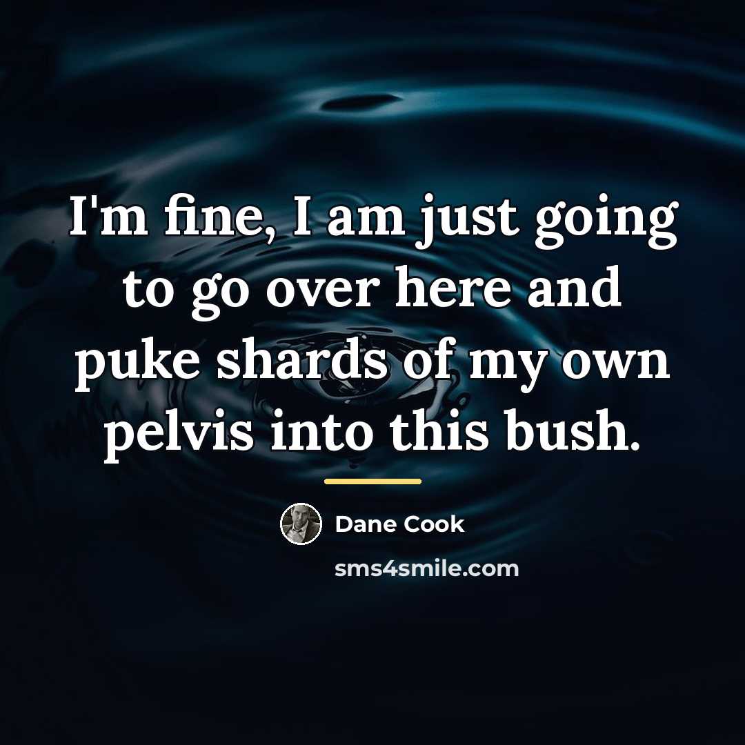 “I'm fine, I am just going to go over here…” quote by Dane Cook
