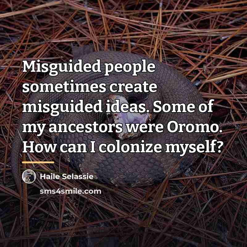“Misguided people sometimes create misguided ideas. Some of my ancestors…” quote by Haile Selassie