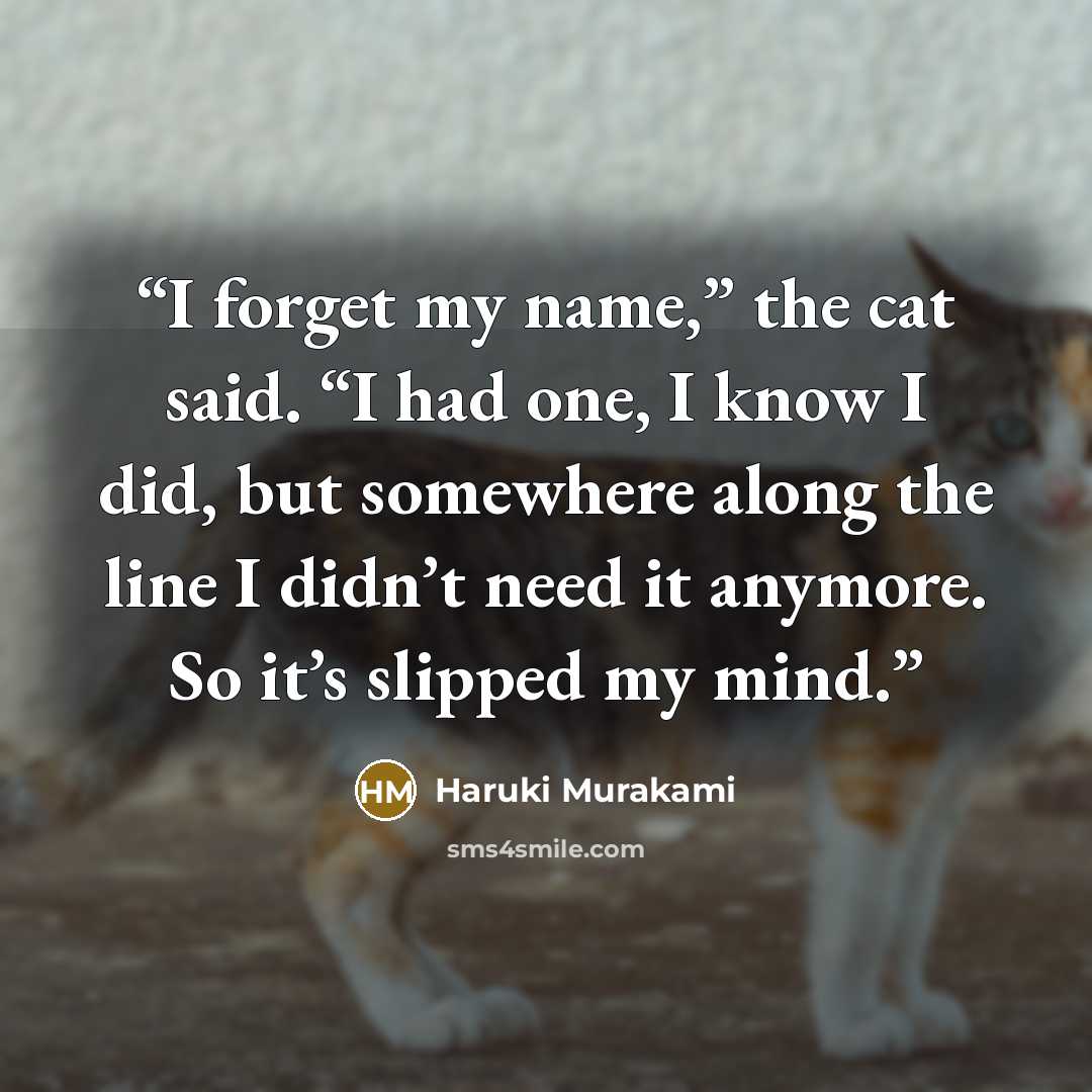 “I forget my name,” the cat said. “I had one, I know I did, but somewhere along the line I didn’t need it anymore. So it’s slipped my mind.” quote by Haruki Murakami