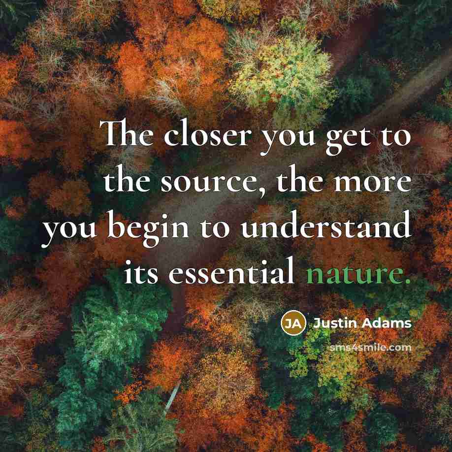 “The closer you get to the source, the more you…” quote by Justin Adams