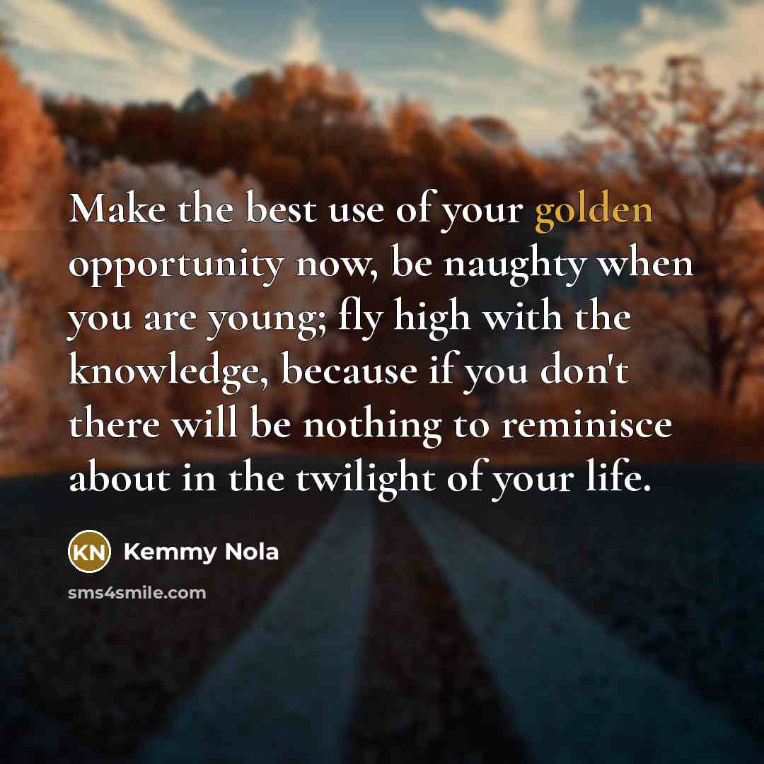 “Make the best use of your golden opportunity now, be…” quote by Kemmy Nola