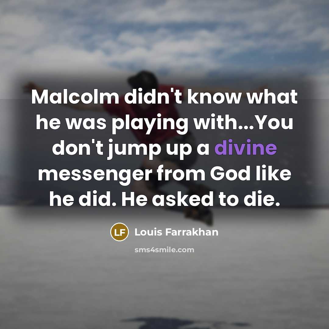 “Malcolm didn't know what he was playing with...You don't jump…” quote by Louis Farrakhan