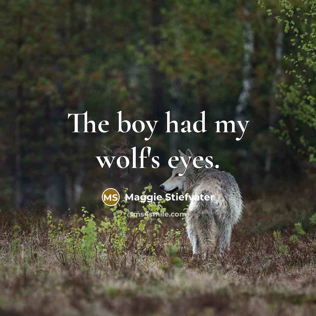 “The boy had my wolf's eyes.…” quote by Maggie Stiefvater