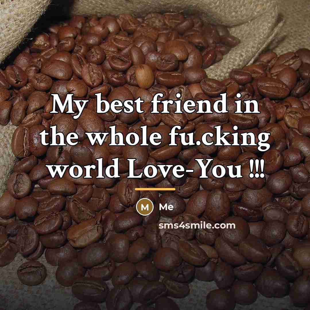 “My best friend in the whole fu.cking world Love-You !!!…” quote by Me