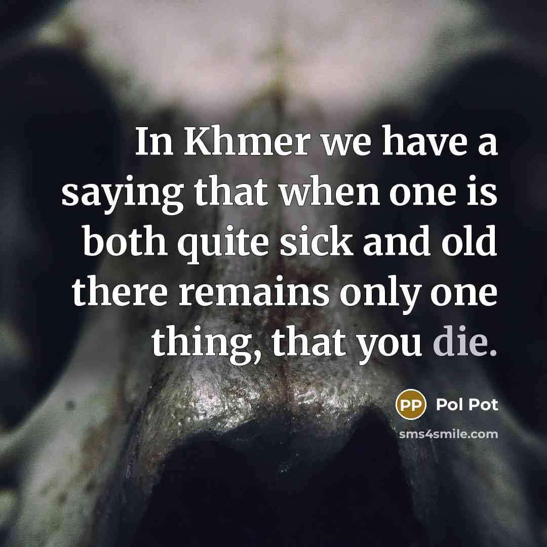 “In Khmer we have a saying that when one is both quite sick and old there remains only one thing, that you die.” quote by Pol Pot