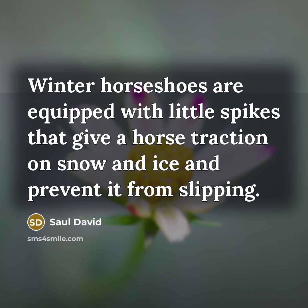 “Winter horseshoes are equipped with little spikes that give a…” quote by Saul David