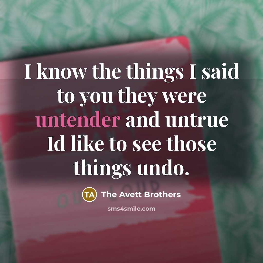 “I know the things I said to you they were untender and untrue Id like to see those things undo.” quote by The Avett Brothers