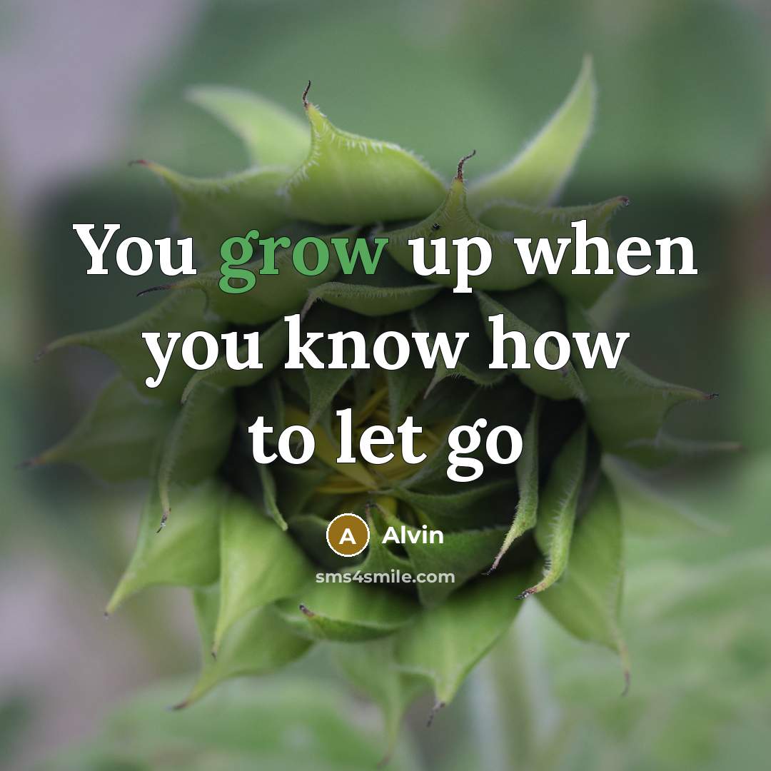 “You grow up when you know how to let go…” quote by Alvin