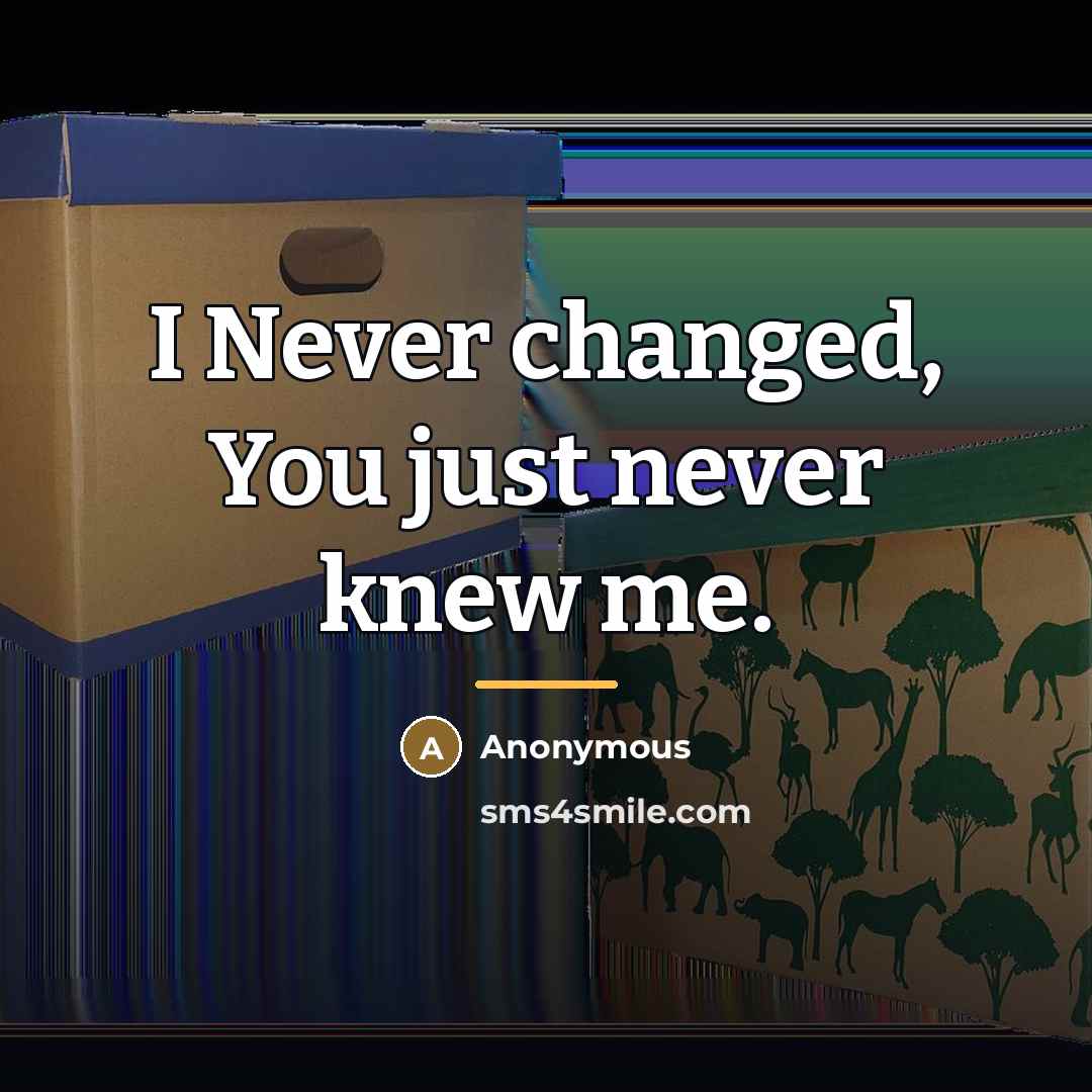 “I Never changed, You just never knew me.…” quote by Anonymous