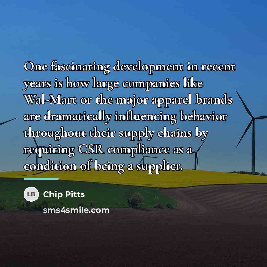 “One fascinating development in recent years is how large companies…” quote by Chip Pitts