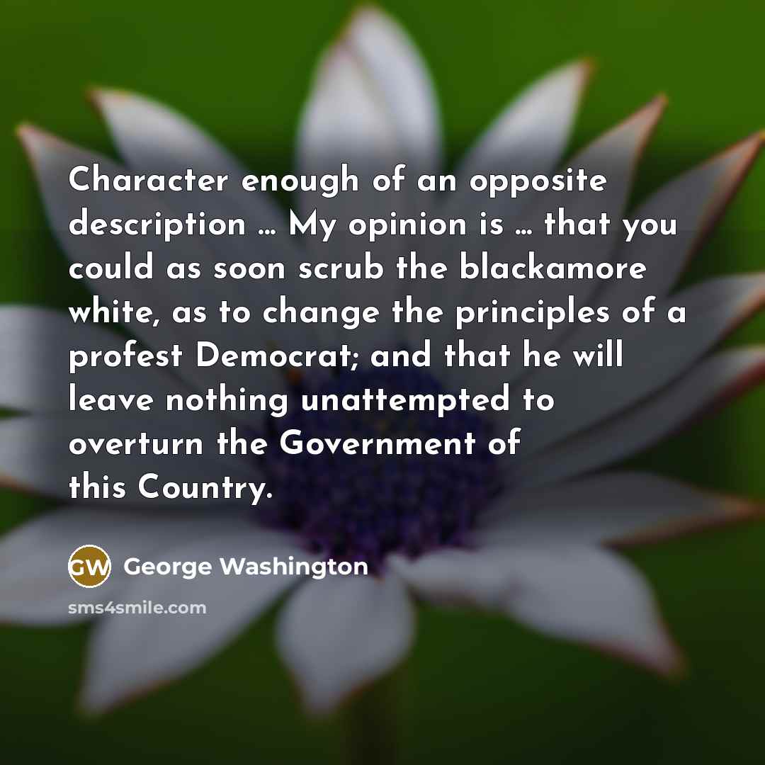 “Character enough of an opposite description ... My opinion is…” quote by George Washington