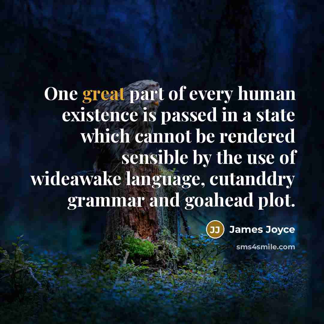 “One great part of every human existence is passed in…” quote by James Joyce