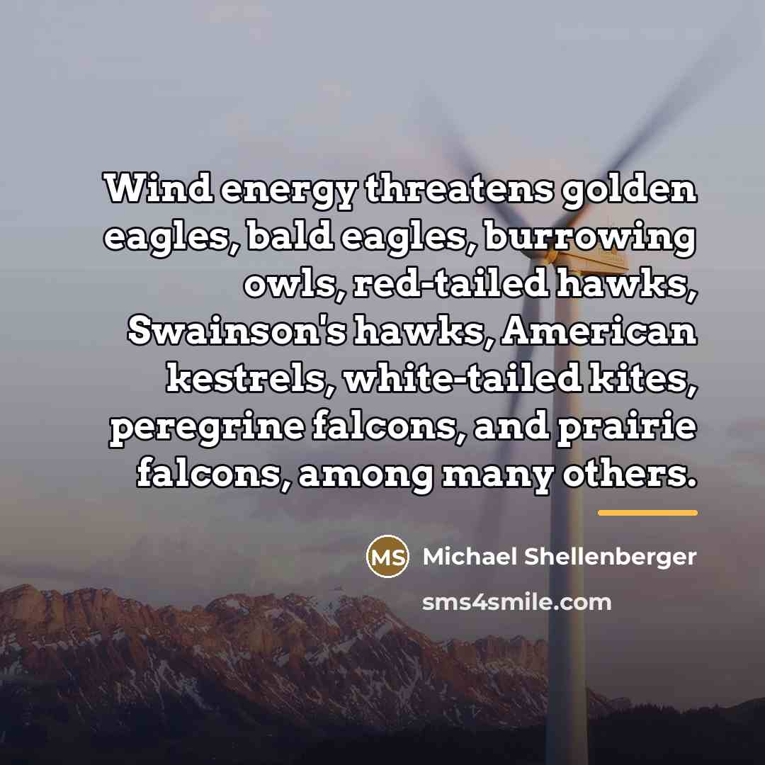 “Wind energy threatens golden eagles, bald eagles, burrowing owls, red-tailed…” quote by Michael Shellenberger